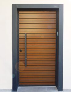 דלתות כניסה