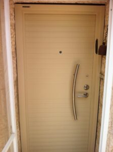דלתות כניסה