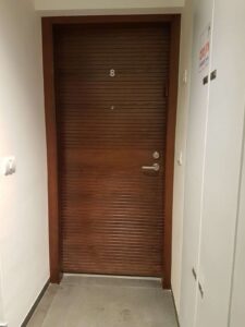 דלתות כניסה